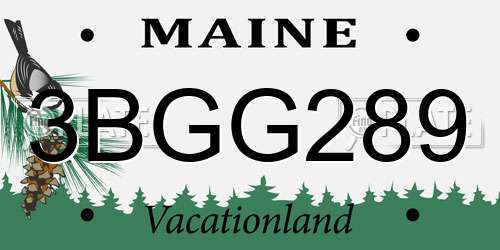 3BGG289 Maine License Plate