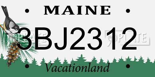 3BJ2312 Maine License Plate