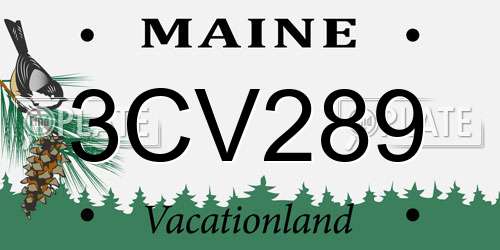 3CV289 Maine License Plate