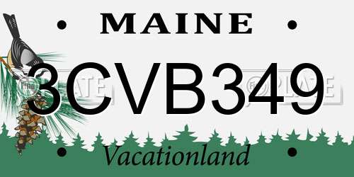 3CVB349 Maine License Plate