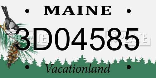 3D04585 Maine License Plate