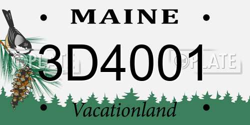 3D4001 Maine License Plate