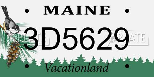 3D5629 Maine License Plate