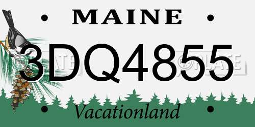 3DQ4855 Maine License Plate