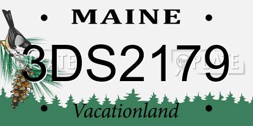 3DS2179 Maine License Plate