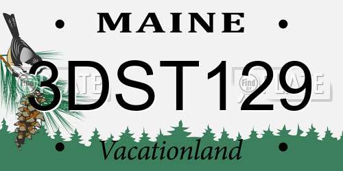 3DST129 Maine License Plate