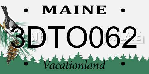 3DTO062 Maine License Plate