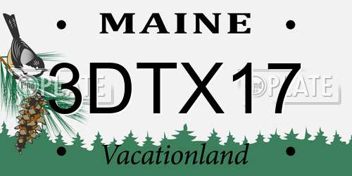 3DTX17 Maine License Plate
