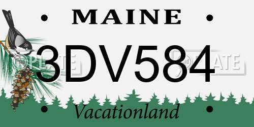 3DV584 Maine License Plate