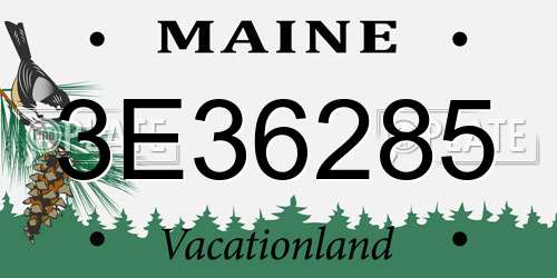 3E36285 Maine License Plate