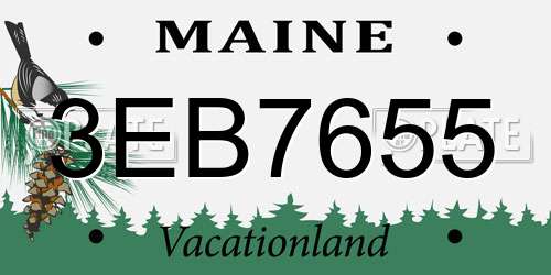 3EB7655 Maine License Plate