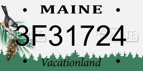 3F31724 Maine License Plate