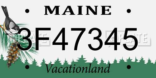 3F47345 Maine License Plate