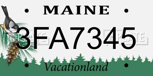3FA7345 Maine License Plate