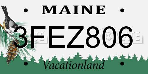 3FEZ806 Maine License Plate