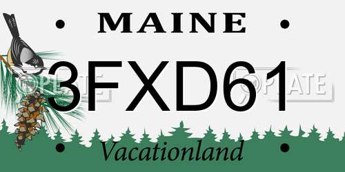 3FXD61 Maine License Plate