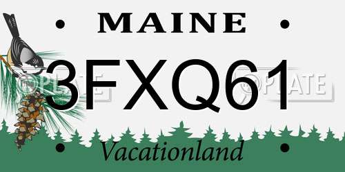 3FXQ61 Maine License Plate