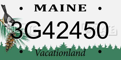 3G42450 Maine License Plate