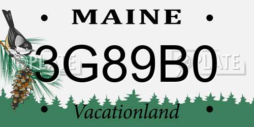 3G89B0 Maine License Plate