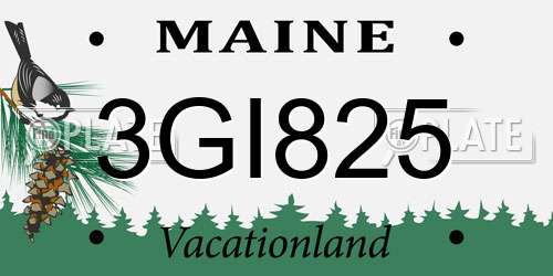 3GI825 Maine License Plate