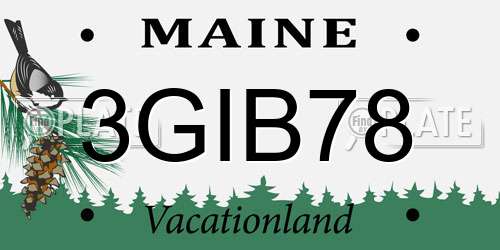 3GIB78 Maine License Plate