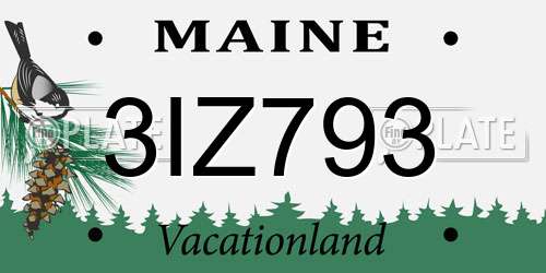 3IZ793 Maine License Plate