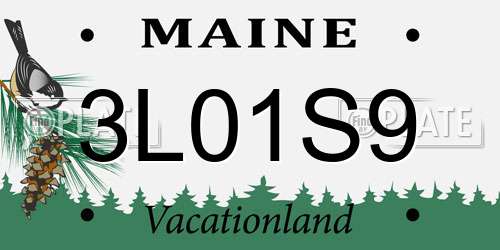 3L01S9 Maine License Plate