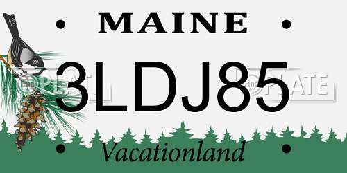 3LDJ85 Maine License Plate