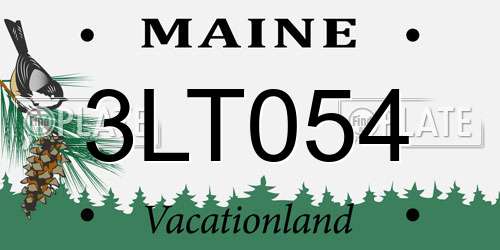 3LT054 Maine License Plate
