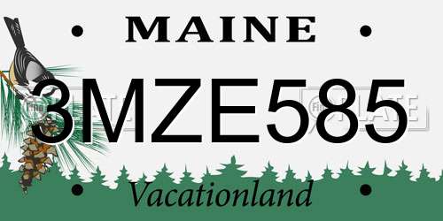 3MZE585 Maine License Plate