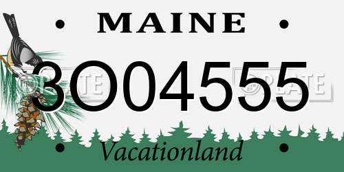 3O04555 Maine License Plate