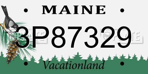 3P87329 Maine License Plate