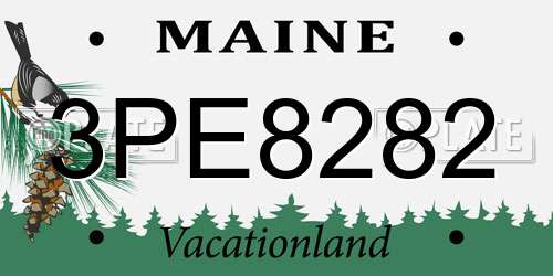 3PE8282 Maine License Plate