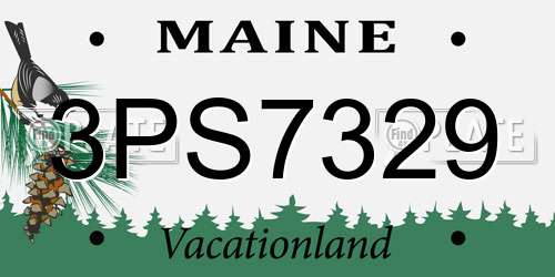 3PS7329 Maine License Plate