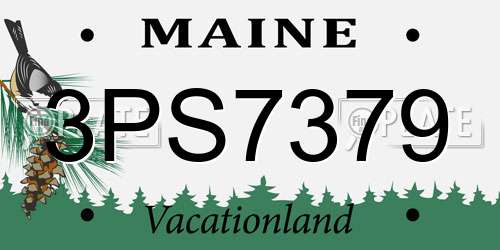 3PS7379 Maine License Plate