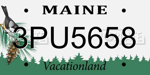 3PU5658 Maine License Plate