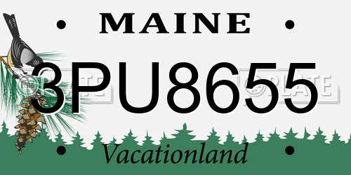 3PU8655 Maine License Plate