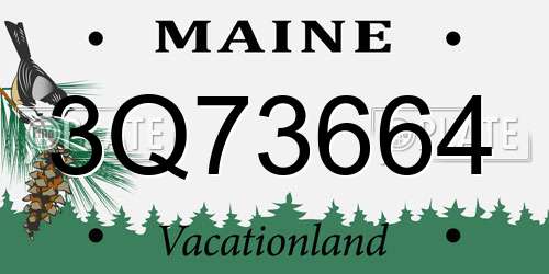 3Q73664 Maine License Plate