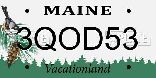 3QOD53 Maine License Plate