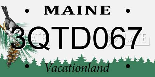 3QTD067 Maine License Plate