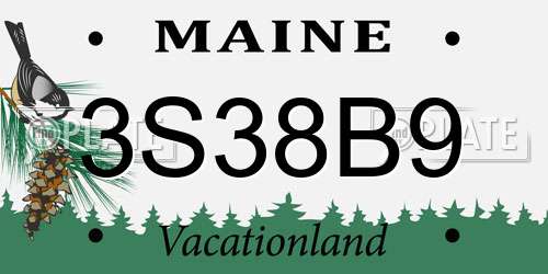 3S38B9 Maine License Plate