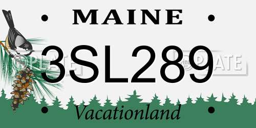 3SL289 Maine License Plate