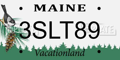 3SLT89 Maine License Plate