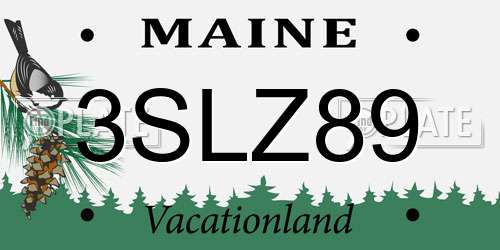 3SLZ89 Maine License Plate