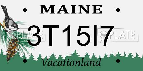 3T15I7 Maine License Plate