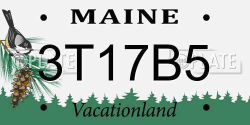 3T17B5 Maine License Plate
