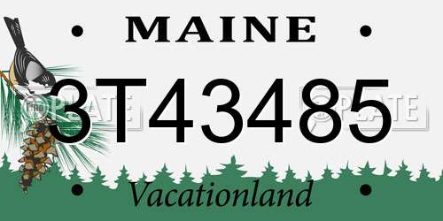 3T43485 Maine License Plate
