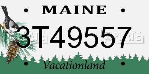3T49557 Maine License Plate