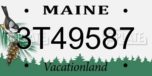 3T49587 Maine License Plate