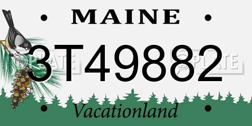 3T49882 Maine License Plate